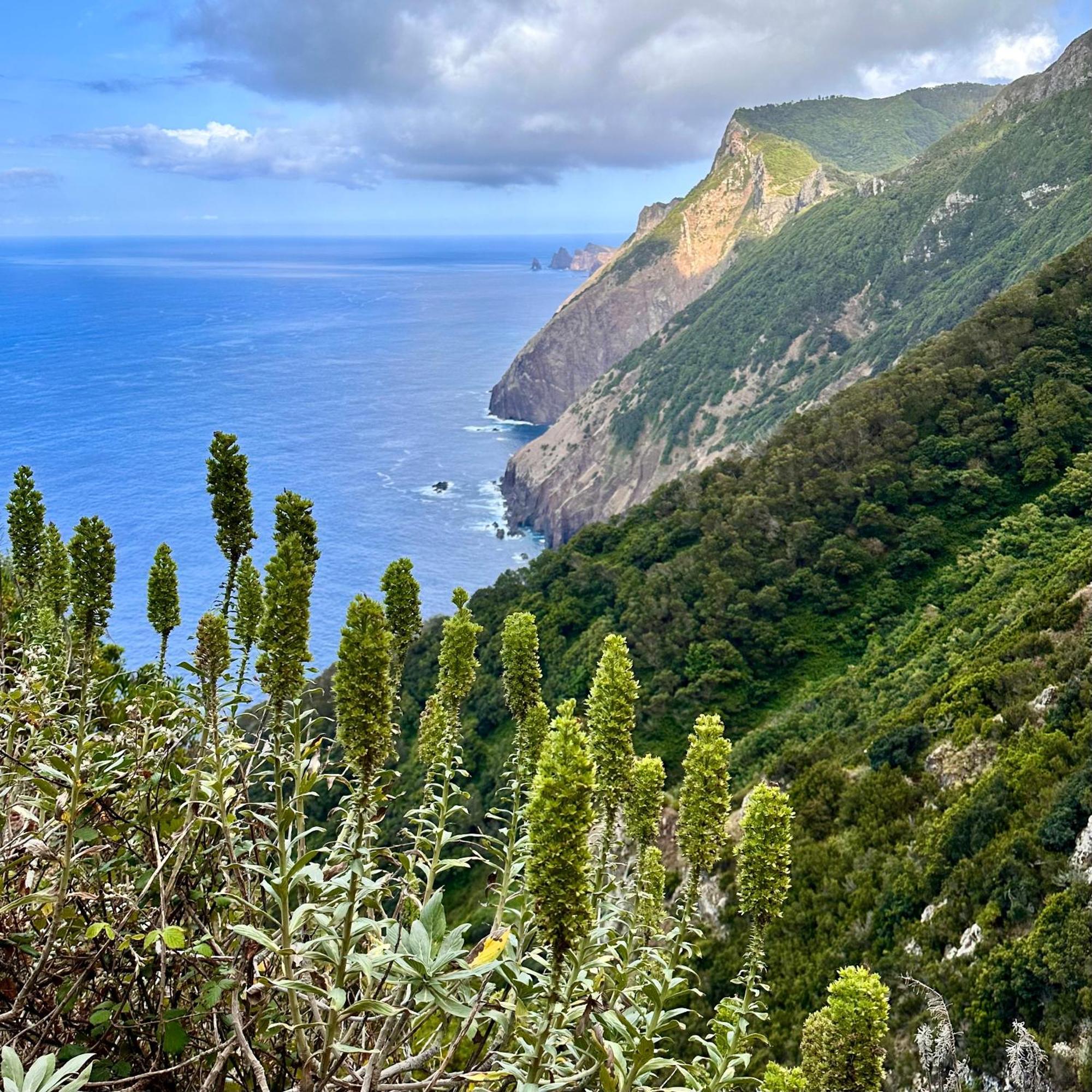 Getaway To Blue Paradise At Madeira Island Фуншал Екстер'єр фото