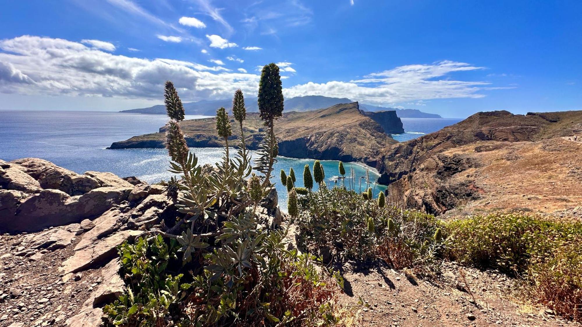 Getaway To Blue Paradise At Madeira Island Фуншал Екстер'єр фото